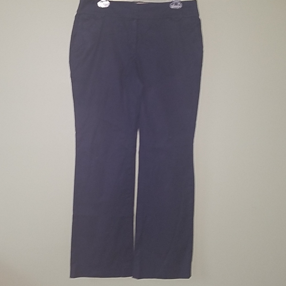 Ann Taylor Loft Ann pants